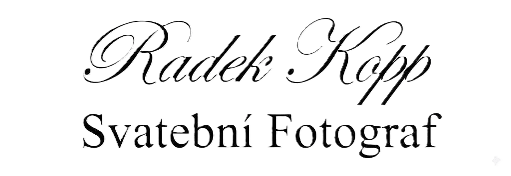 Svatební fotograf